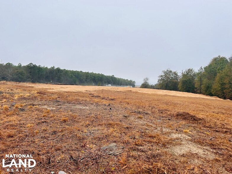 0 Fallline Fwy, Butler, GA à vendre - Photo principale - Image 1 de 7