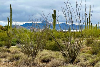 Plus de détails pour 7XXX Highland Road Rd, Cave Creek, AZ - Terrain à vendre