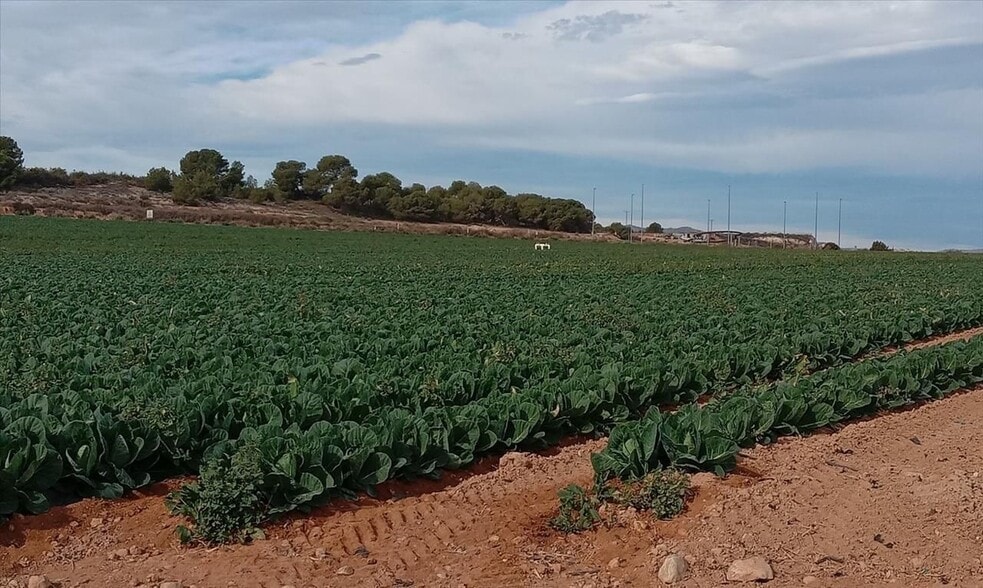 Calle Pp Granados, 5 R, Murcia, Murcia à vendre - Photo du bâtiment - Image 3 de 12