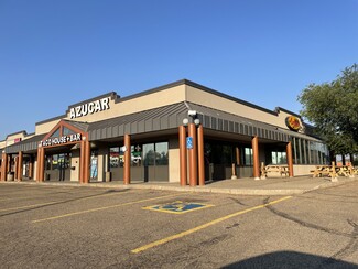 Plus de détails pour 13018 50th St, Edmonton, AB - Vente au détail à louer