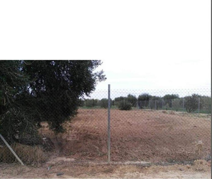 Land in Marchena, Sevilla for sale - Site Plan - Image 2 of 5