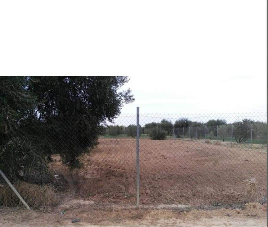 Terrain dans Marchena, Sevilla à vendre Plan de site- Image 1 de 6