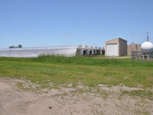 xxx County Rd NE, Buffalo, MN à vendre - Photo du bâtiment - Image 2 de 7