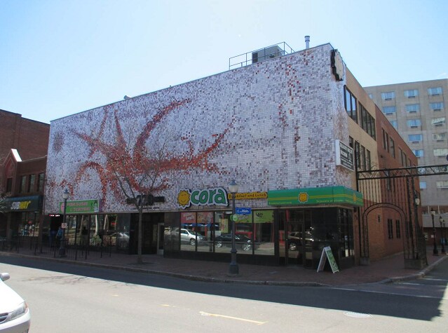 720 Main St, Moncton, NB for sale Primary Photo- Image 1 of 1