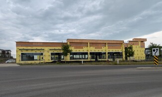 Plus de détails pour 1 Ranchers Blvd, Okotoks, AB - Vente au détail à vendre