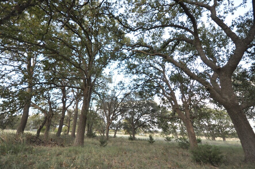 100 Farm To Market 165, Dripping Springs, TX à vendre - Photo du bâtiment - Image 2 de 8