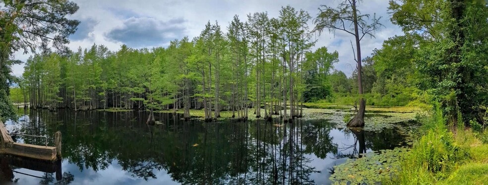 Balfour Road & McNeill Lake Rd, Lumber Bridge, NC for sale - Other - Image 3 of 6