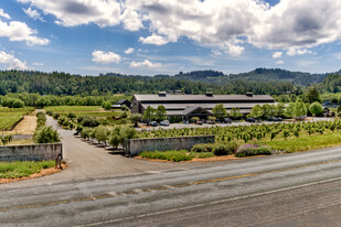 Dry Creek Valley -Winery & Estate Residence - Vignoble