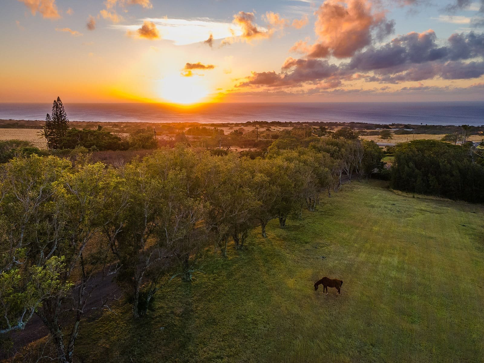 56-2864 Akone Pule Hwy, Hawi, HI à vendre Photo principale- Image 1 de 11