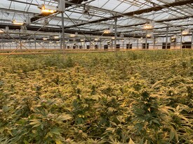 CANNABIS PROPERTY  FOR LEASE WITH POWER - Cannabis Warehouse