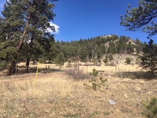 Plus de détails pour 62430 US Highway 285, Bailey, CO - Terrain à vendre