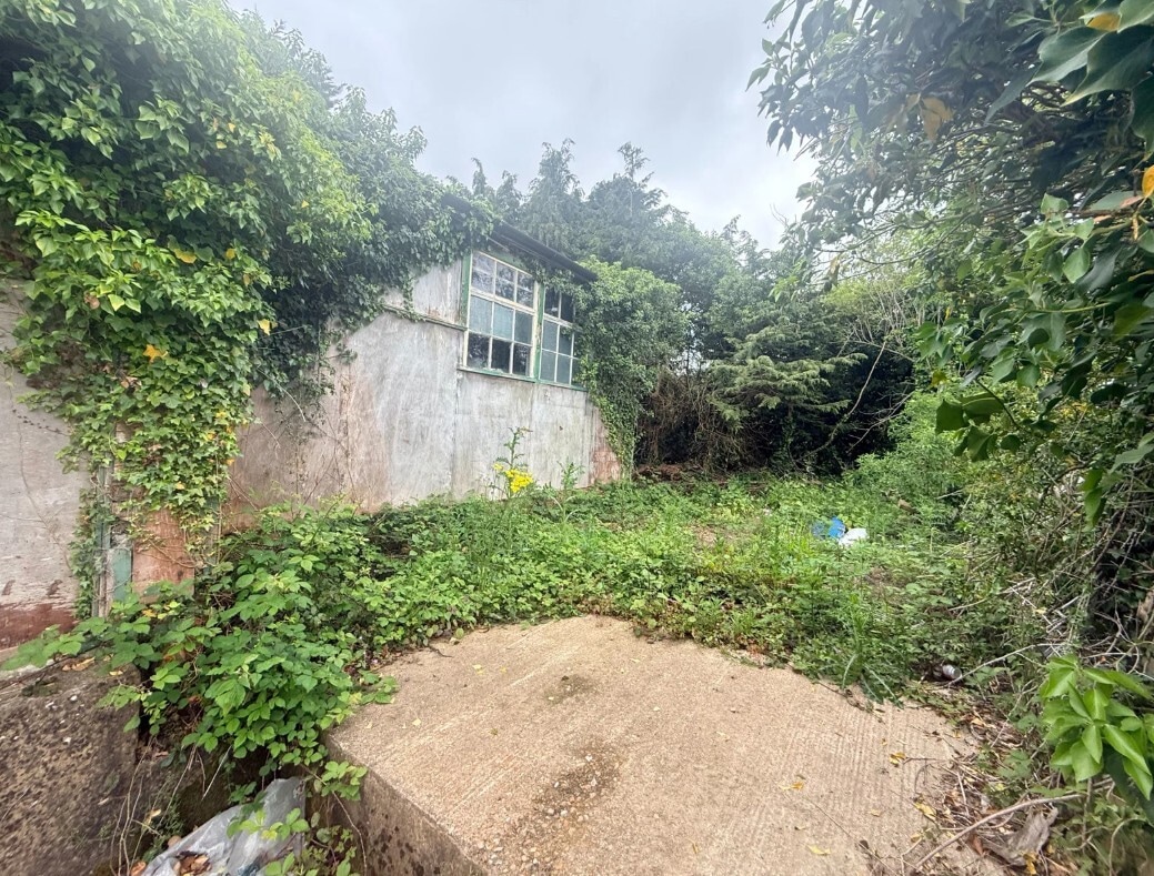 Pashley Rd, Wadhurst for lease Primary Photo- Image 1 of 13