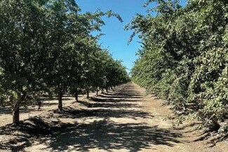 More details for 25414 Post Avenue, Orland, CA - Land for Sale