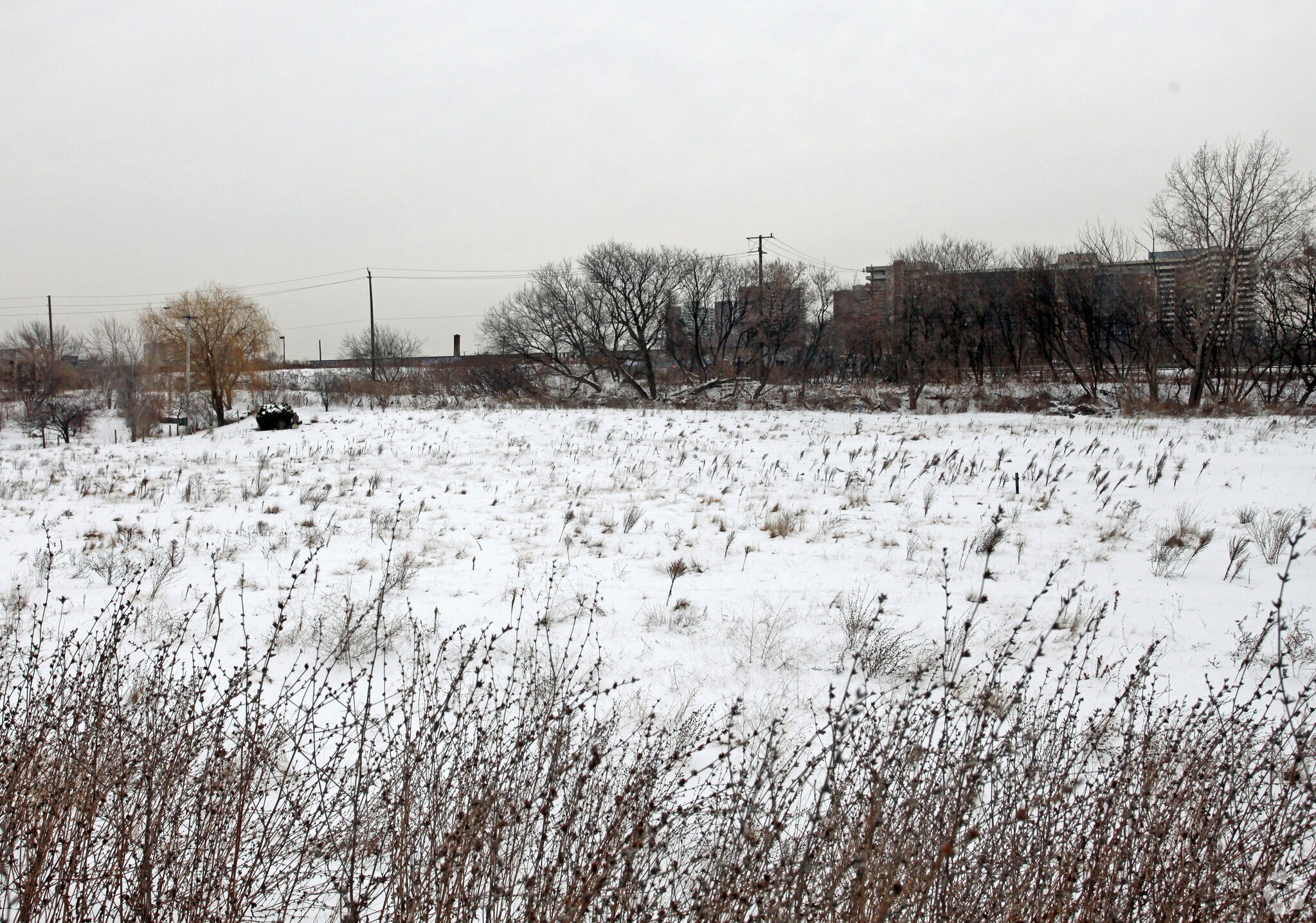 411 Victoria Park Ave, Toronto, ON for sale Primary Photo- Image 1 of 1