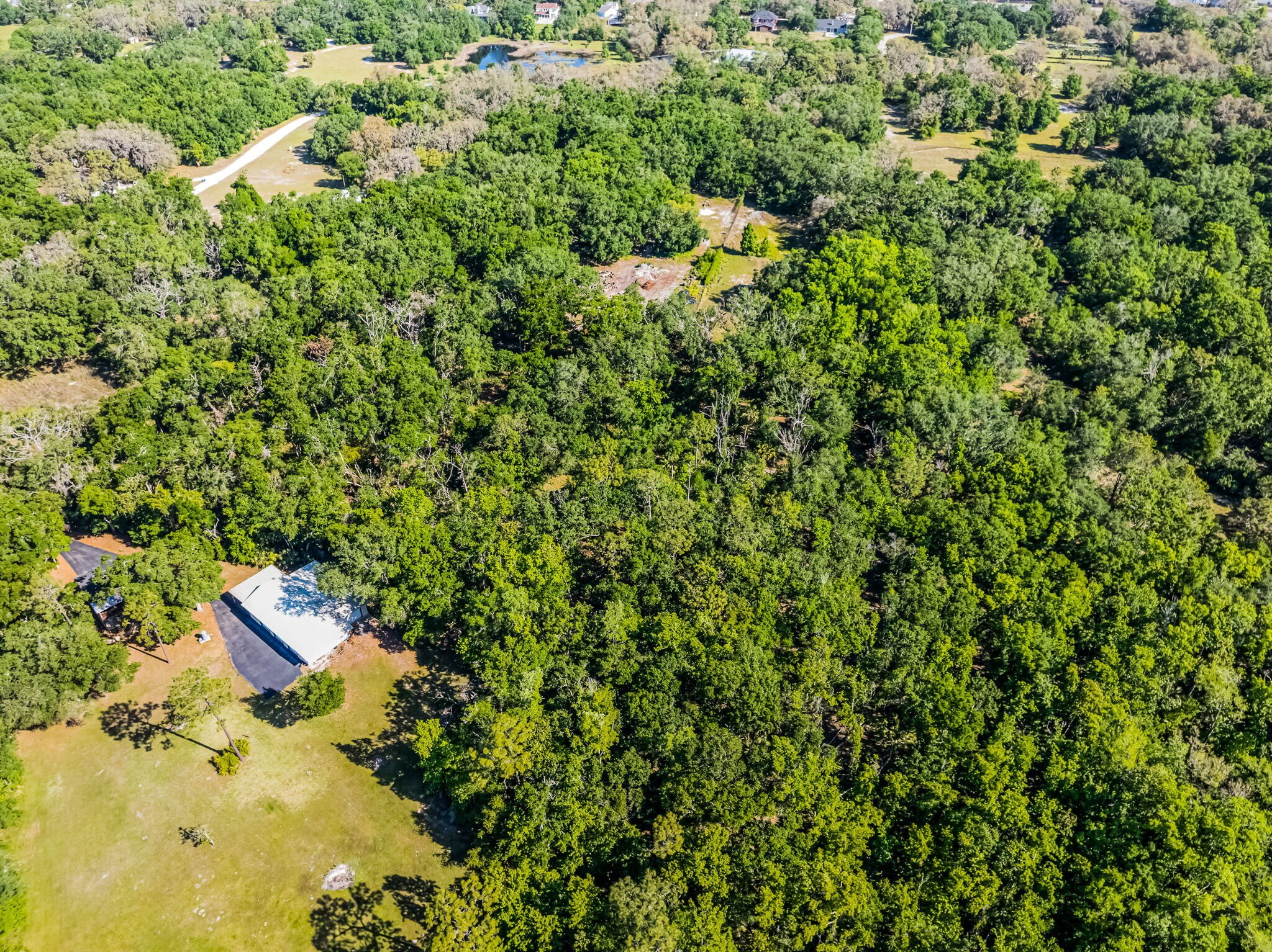 3633 Panther Path Rd, Lutz, FL à vendre Photo principale- Image 1 de 24