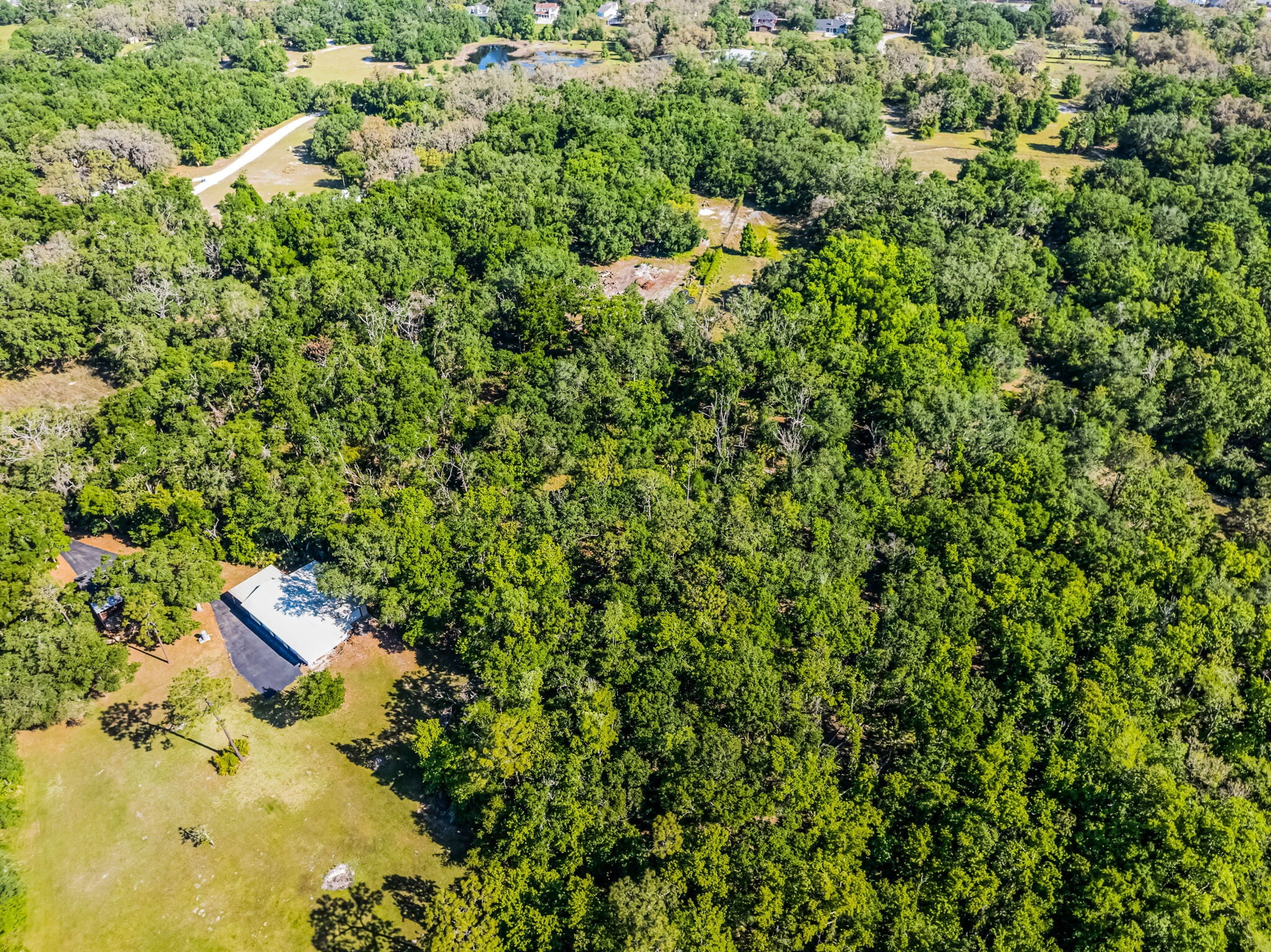 3633 Panther Path Rd, Lutz, FL for sale Primary Photo- Image 1 of 24