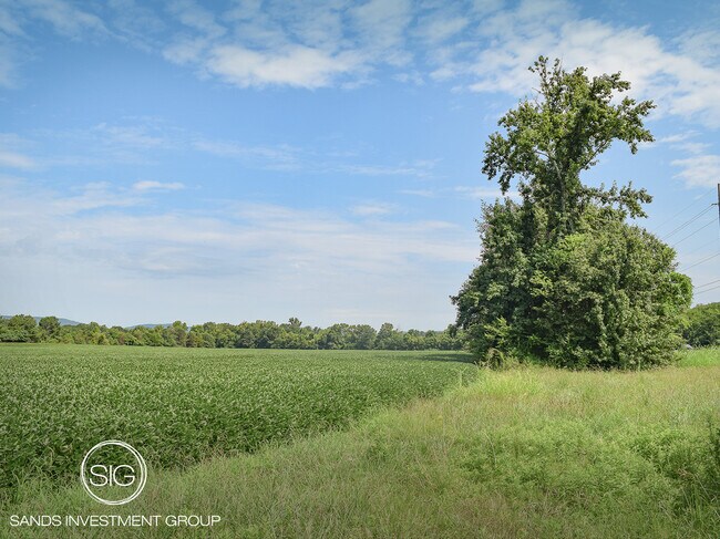 More details for Wilson Mann Rd and 431 S - Owens Cross Roads hwy, Owens Cross Roads, AL - Land for Sale