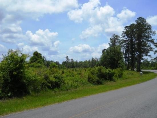 NE SR 21, Raiford, FL for sale - Primary Photo - Image 1 of 1