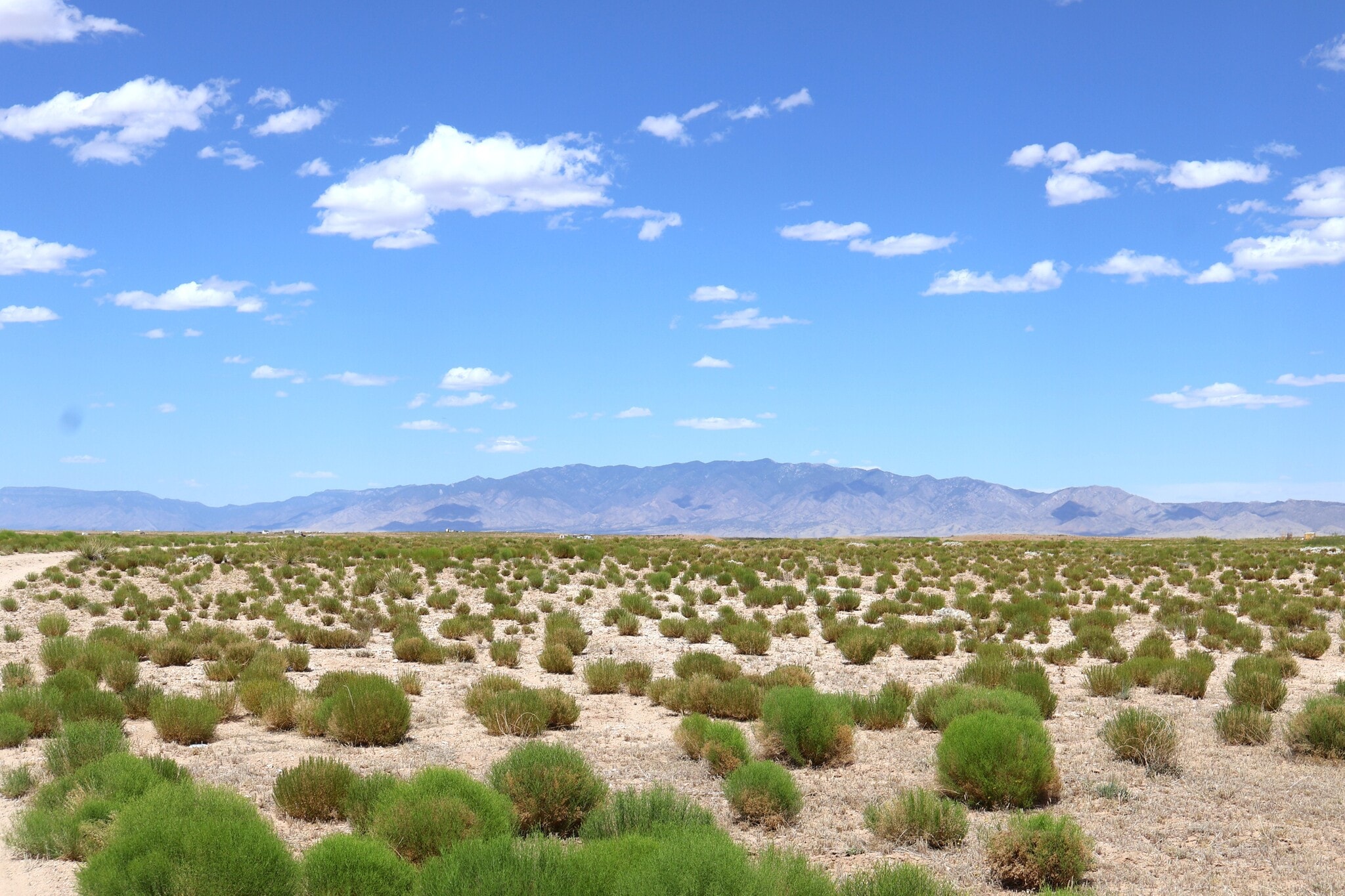 14 (Lot 7 & 8) Ybarra ave, Veguita, NM for sale Building Photo- Image 1 of 5