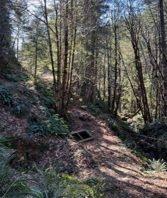 Plus de détails pour Highway 199, Crescent City, CA - Terrain à vendre