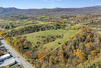 More details for 000 Lee Hwy, Troutville, VA - Land for Sale
