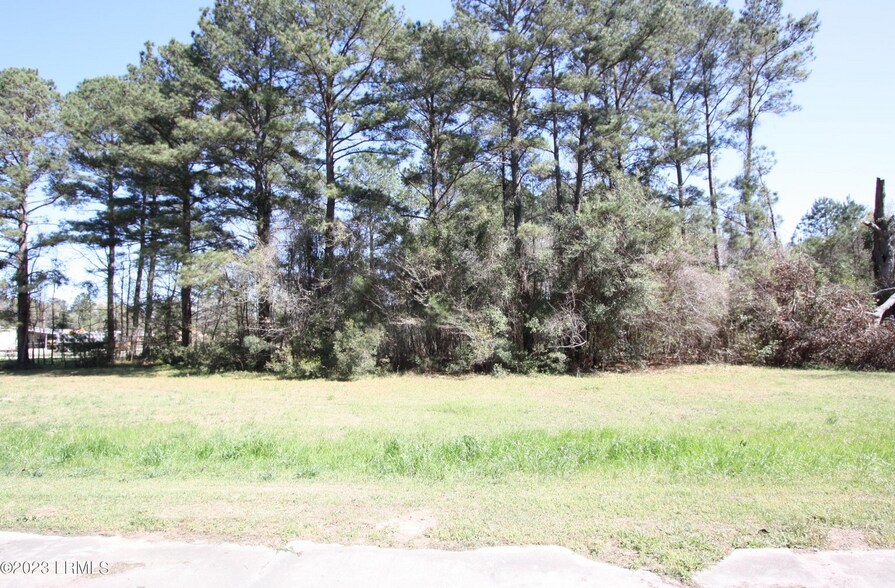 00 Columbia Hwy, Estill, SC à vendre - Photo du bâtiment - Image 2 de 5