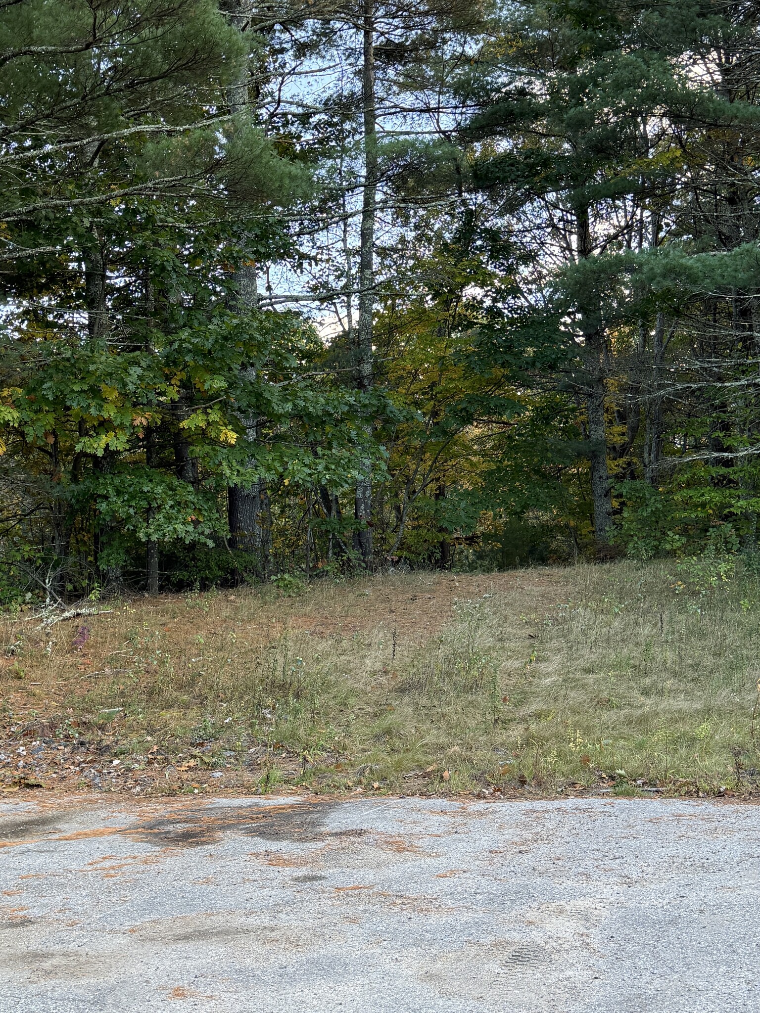 Land in Raymond, NH for lease Primary Photo- Image 1 of 6