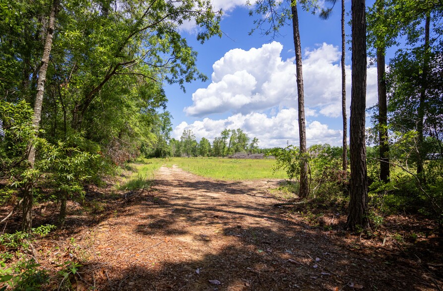 17614 Lanes Bridge Rd, Odum, GA for sale - Other - Image 3 of 17
