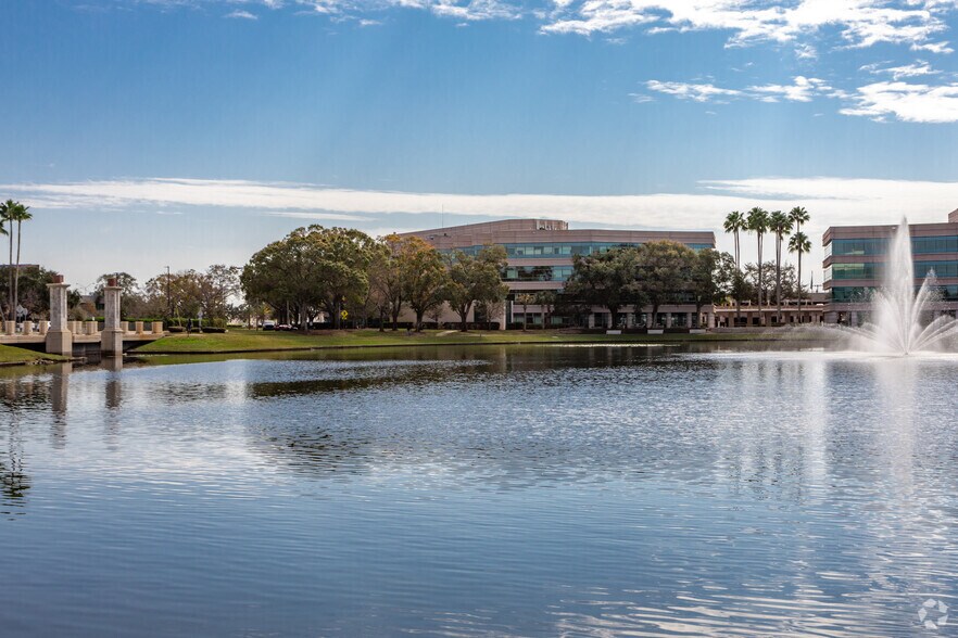 4915 Independence Pkwy, Tampa, FL à louer - Photo principale - Image 1 de 16