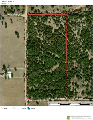 Plus de détails pour 23 Co 529 rd, Mullin, TX - Terrain à vendre