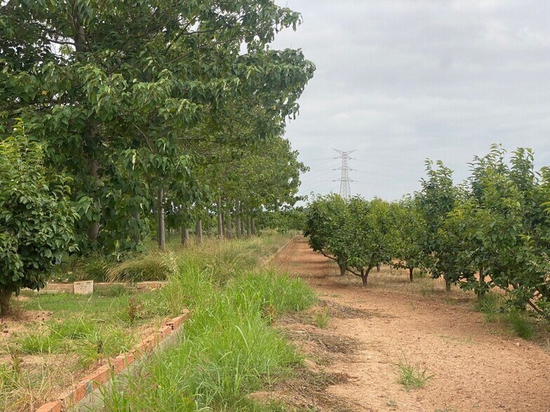 Mataburres, Carlet, Alrededores, Carlet, Valencia for sale - Building Photo - Image 3 of 10