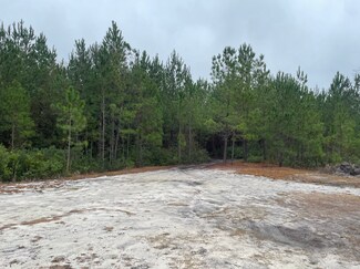 Plus de détails pour 193 Osteen Rd, Pembroke, GA - Terrain à vendre