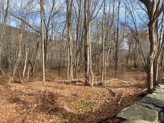 More details for 3918 Danbury, Brewster Village, NY - Land for Sale