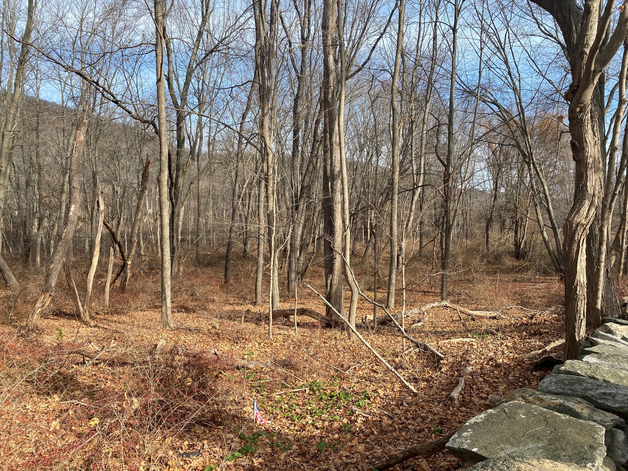 3918 Danbury, Brewster Village, NY for sale Primary Photo- Image 1 of 21