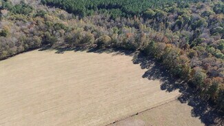 Plus de détails pour 269 Pea Ridge Rd, Montrose, GA - Terrain à vendre