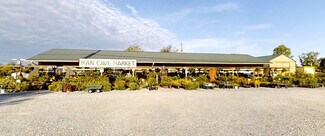 Plus de détails pour 17897 US-31, Vinemont, AL - Commerce de détail à vendre