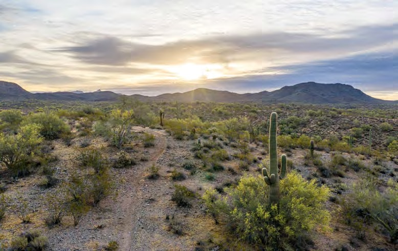 Blue Tank Rd, Wickenburg, AZ for sale - Other - Image 3 of 4
