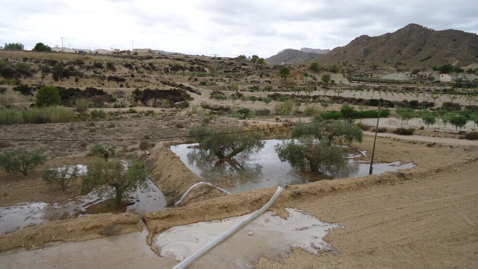 Terrain dans Abanilla, Murcia à vendre - Photo principale - Image 2 de 31