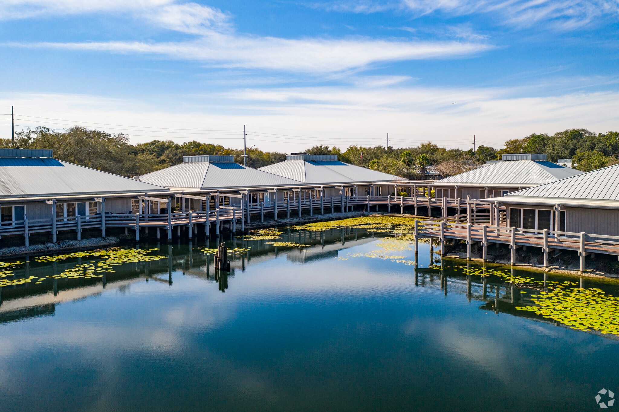 2901 W Busch Blvd, Tampa, FL for lease Primary Photo- Image 1 of 39