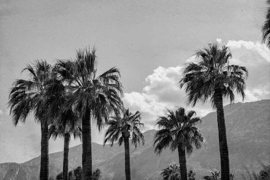 2743 N Indian Canyon Dr, Palm Springs, CA à vendre - Photo du bâtiment - Image 2 de 15