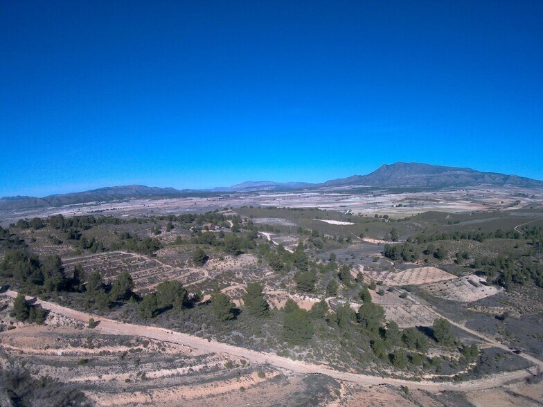 Terrain dans Jumilla, Murcia à vendre - Photo principale - Image 2 de 11