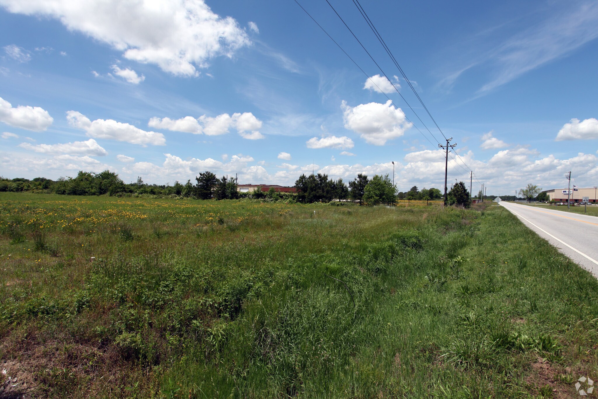 Wisacky Hwy, Bishopville, SC for sale Primary Photo- Image 1 of 3
