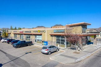 Plus de détails pour 917 85th St SW, Calgary, AB - Commerce de détail à louer