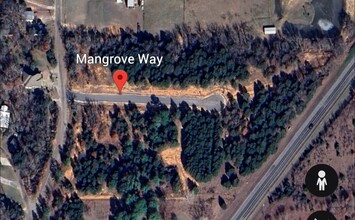 000 Mangrove Way, Gordonville, TX - aerial  map view