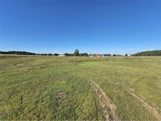 Plus de détails pour 17045 Haven Rd, Little Falls, MN - Terrain à vendre