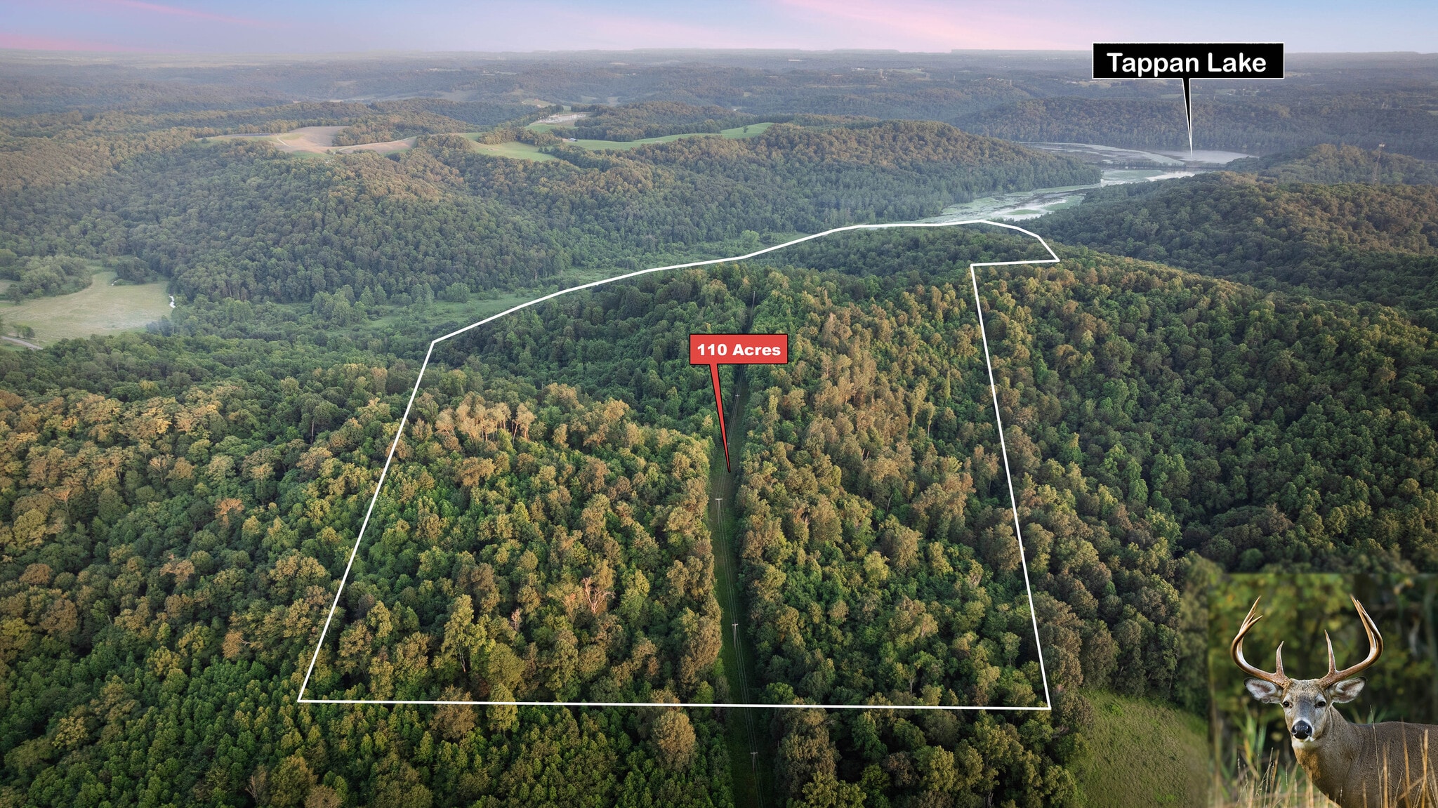 36900 Lower Clearfork Rd, Cadiz, OH à vendre Photo principale- Image 1 de 1