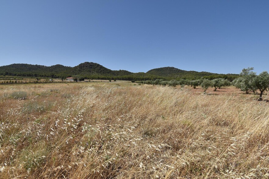 Land in Padul for sale - Aerial - Image 1 of 4