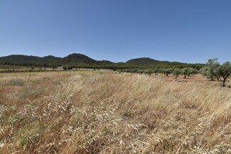 More details for Land for Sale