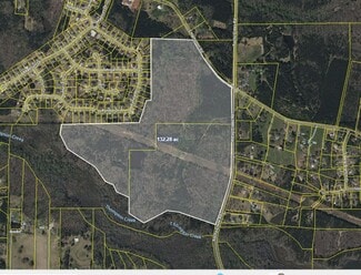 More details for 991 S Hampton Rd, Hampton, GA - Land for Sale