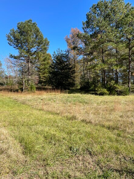 173 Mill Creek Ln, Mc Cormick, SC à vendre - Autre - Image 3 de 18